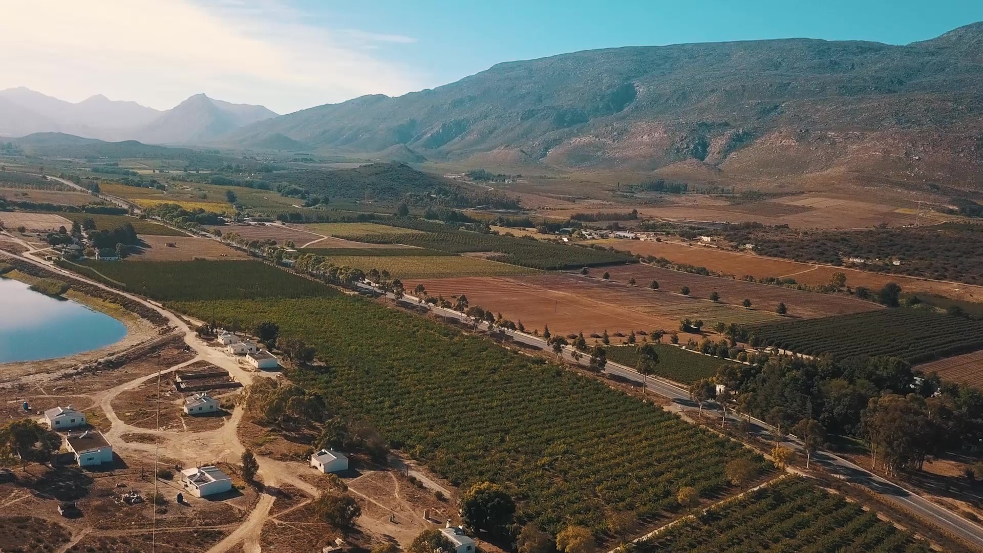Survivor expresses the beauty of South Africa in its wines.