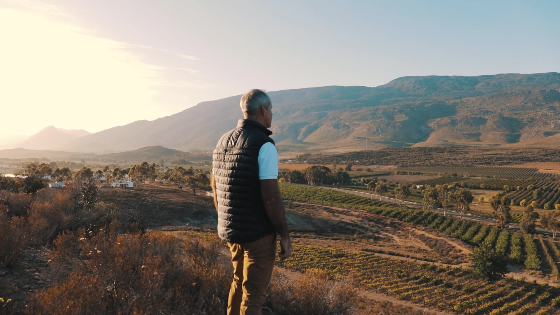 Pierre Wahl, the Pope of Pinotage. 