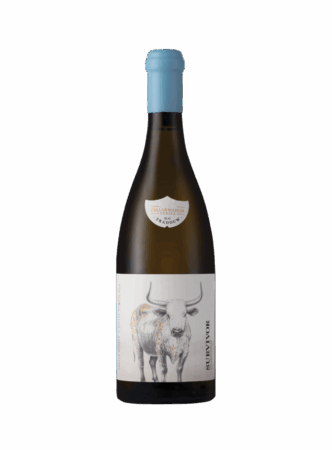 Cellar Master Chardonnay